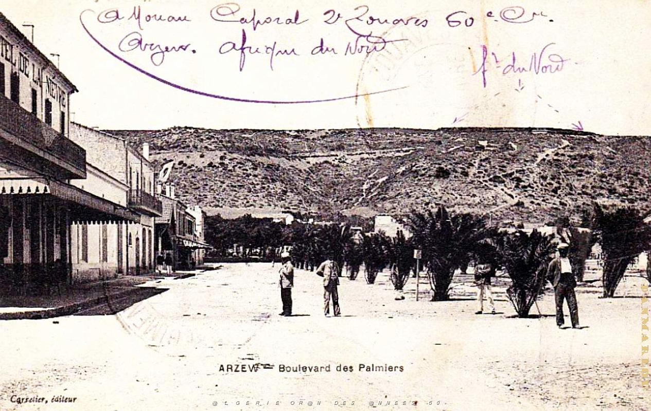 Arzew - Boulevard des Palmiers.jpg